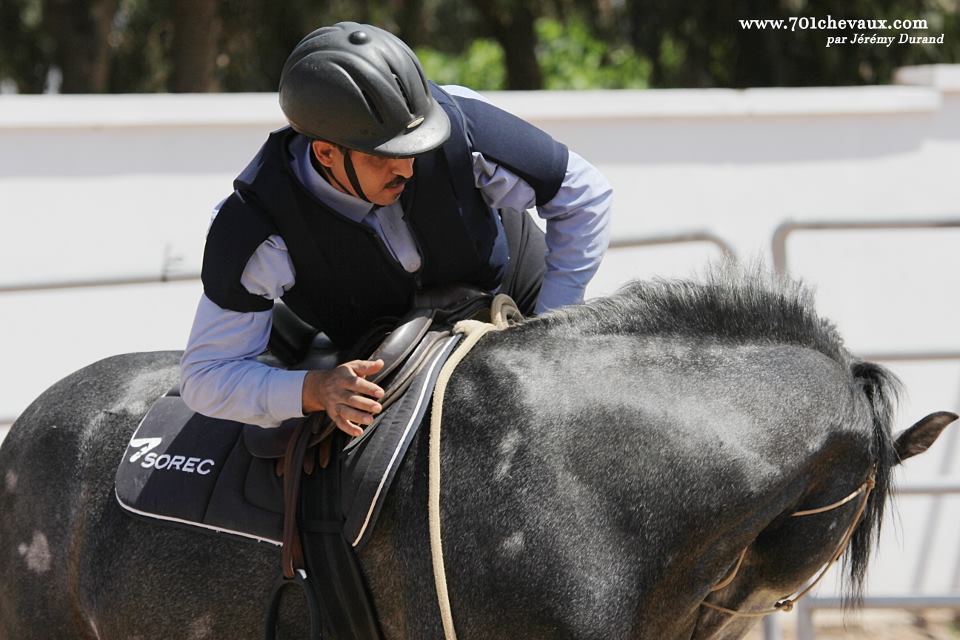 Dloul (Arabe Barbe, 4 ans) et Hicham Hamda