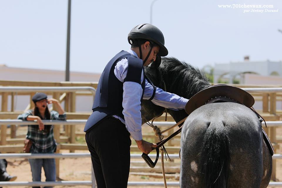 Dloul (Arabe Barbe, 4 ans) et Hicham Hamda