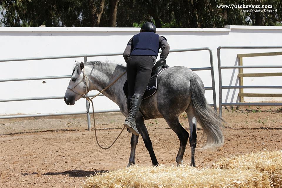 Dadda (Barbe, 4 ans) et Driss Korbi