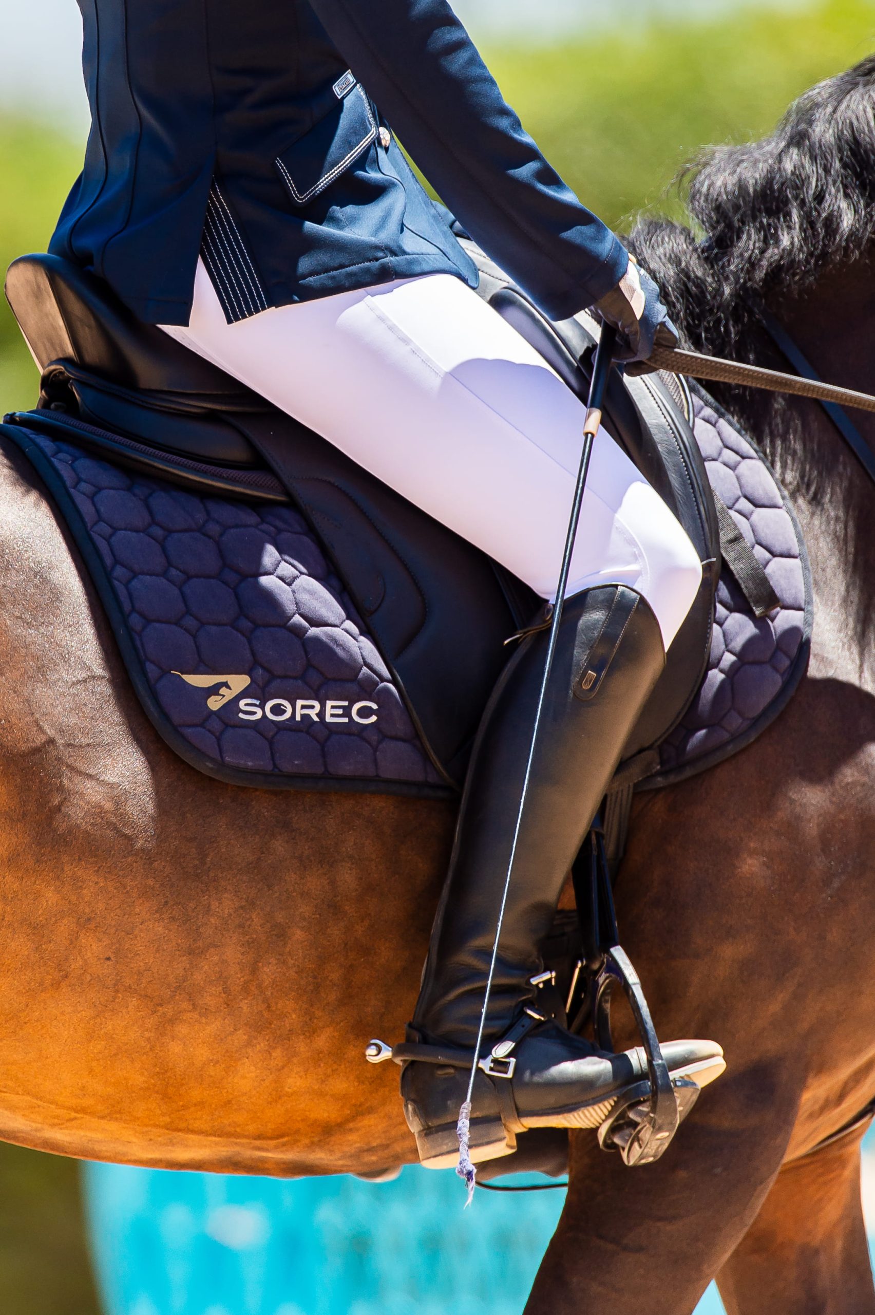 CONCOURS SAUT EN LIBERTÉ BARBE & ARABE BARBE 2024-1302024_©Said Mrigua